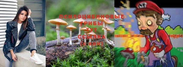 дмт Гусь-Хрустальный